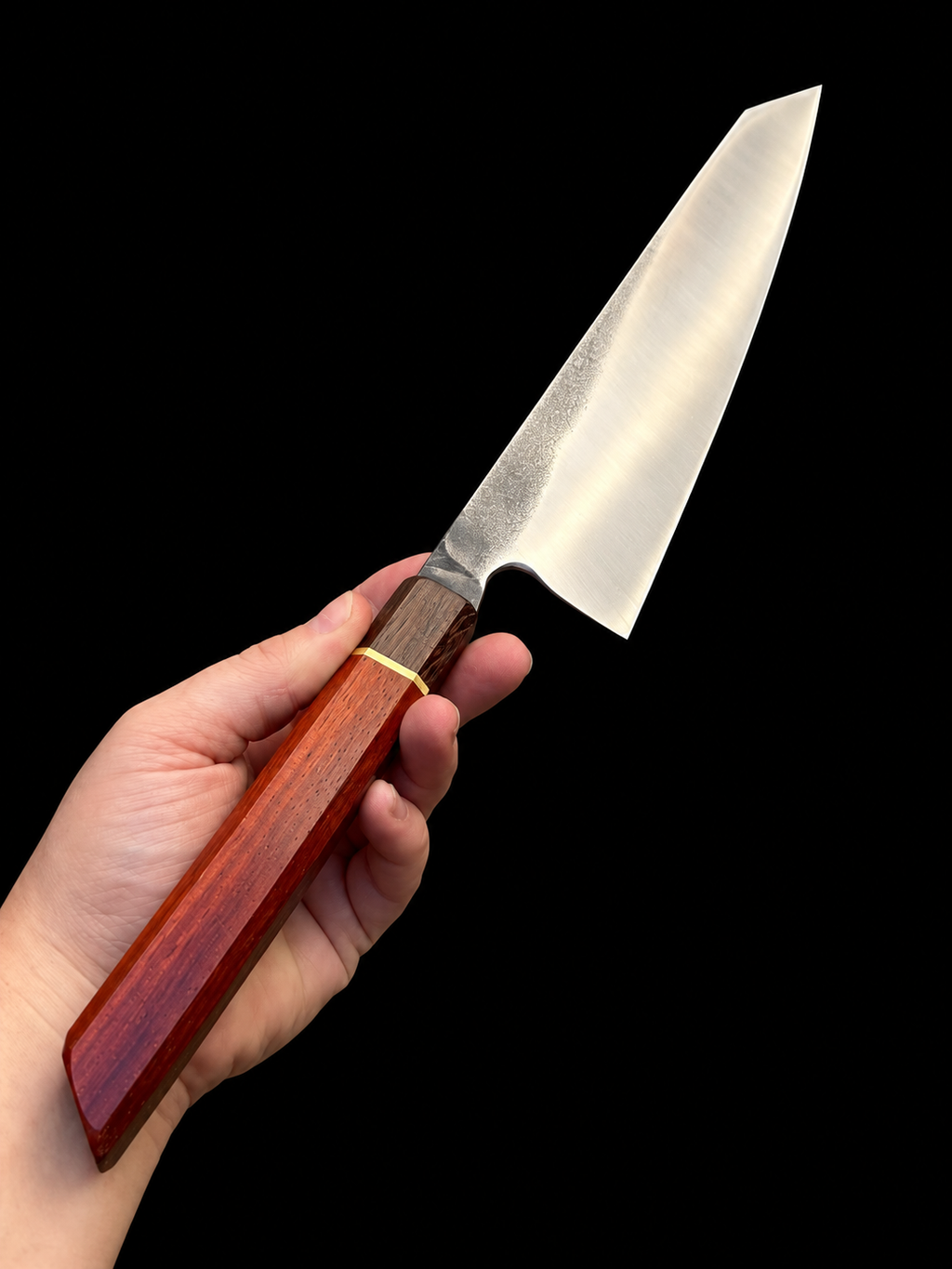 Gyuto 22